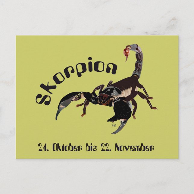 scorpion postcard (Front)