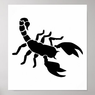 Scorpion Poster