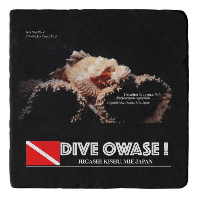 Scorpionfish on the sponge trivet (Front)