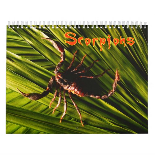 Scorpions Wall Calendar