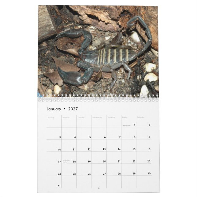 Scorpions Wall Calendar (Jan 2027)