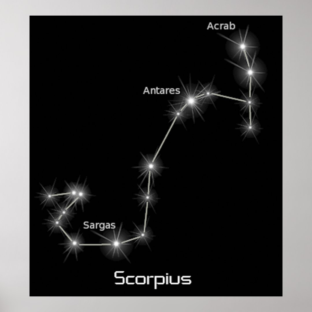 Scorpius Constellation Scorpio Zodiac Business Poster | Zazzle