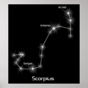 Scorpius Constellation Scorpio Zodiac Business Poster
