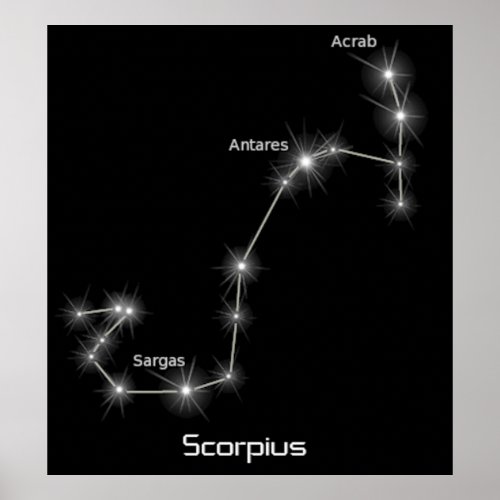 Scorpius Constellation Scorpio Zodiac Business Poster