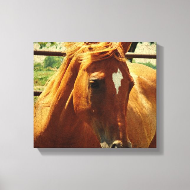 Scotch Canvas Print (Front)