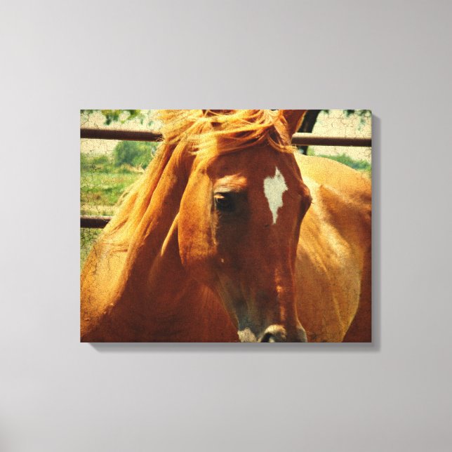 Scotch Canvas Print (Front)