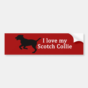 Scotch Collie Dog Love Bumper Sticker