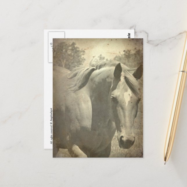 Scotch Faux Vintage Postcard (Front/Back In Situ)