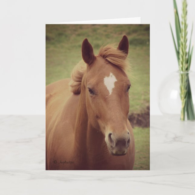Scotch Gelding Vintage Look, Thank you Card (Front)