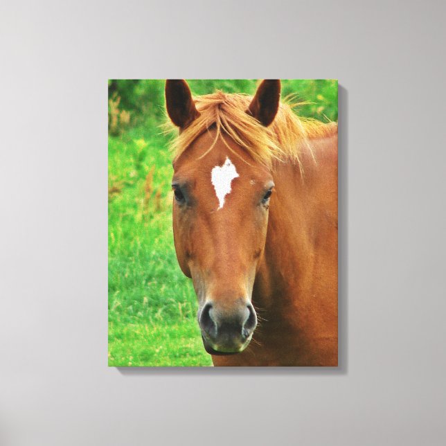 Scotch Head Shot Canvas Print (Front)