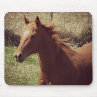 Scotch in Motion Mouse Pad