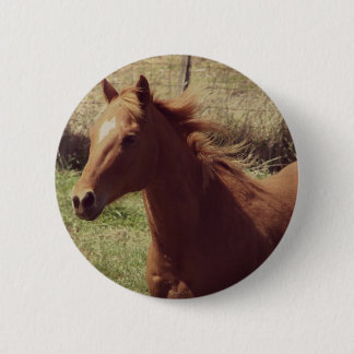 Scotch in Motion Pinback Button