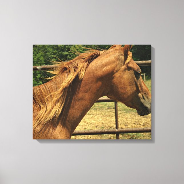 Scotch Round Pen Canvas Print (Front)