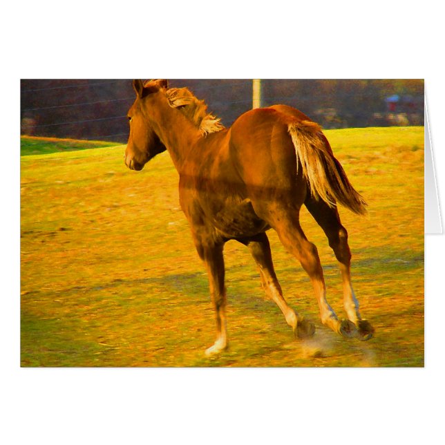 Scotch Run~ Oil Painting (Front Horizontal)