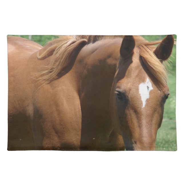 Scotch The Horse Cloth Placemat (Front)