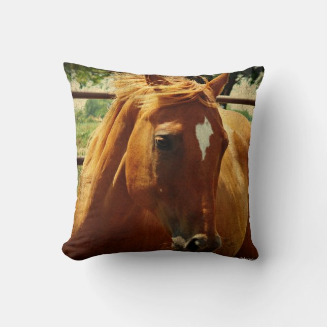 Scotch Throw Pillow (Front)
