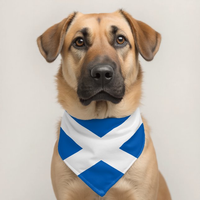 SCOTLAND FLAG BLUE WHITE CROSS PET BANDANA COLLAR (Dog 2)