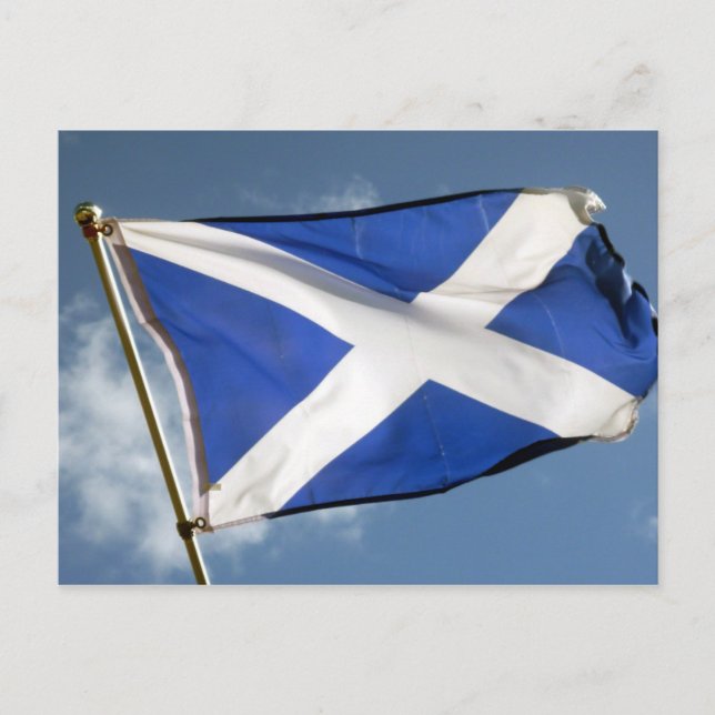 scotland flag postcard (Front)