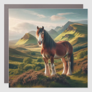 Scotland highlands Clydesdale horse Car Magnet