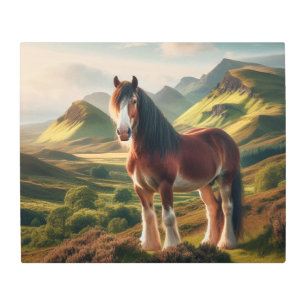 Scotland highlands Clydesdale horse Metal Print