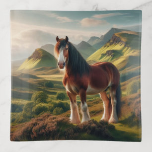 Scotland highlands Clydesdale horse Trinket Tray