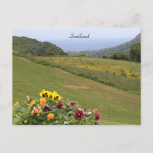 Scotland, Highlands, Ocean, Flowers, Photography Postcard
