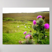 Scotland Highlands Thistle Landscape Poster