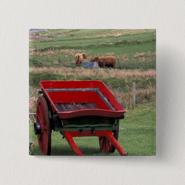 Scotland, Isle of Skye, Kilmuir. Farm animals Button (Front)