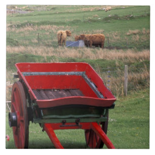 Scotland, Isle of Skye, Kilmuir. Farm animals Tile