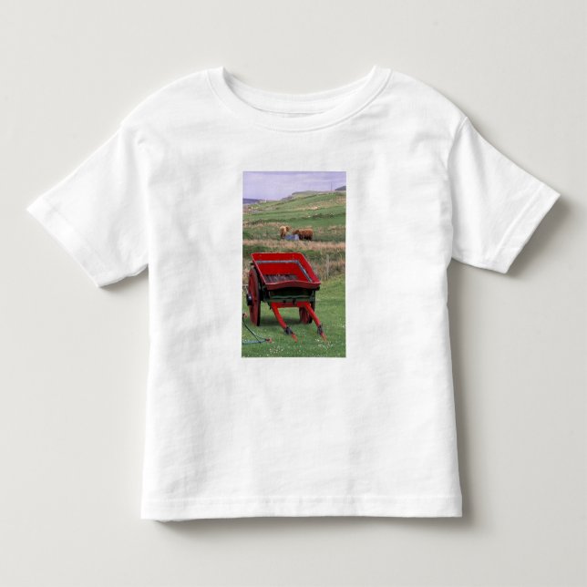 Scotland, Isle of Skye, Kilmuir. Farm animals Toddler T-shirt (Front)