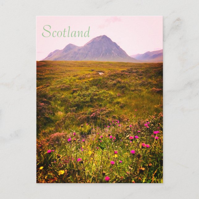 Scotland Postcard (Front)