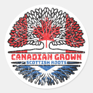 Scotland Scottish Canadian Canada Tree Roots Flag Classic Round Sticker