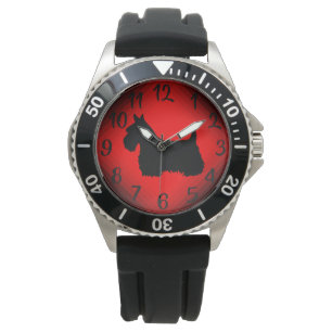 Scotland , Scottish terrier, black/wheaten blue Watch