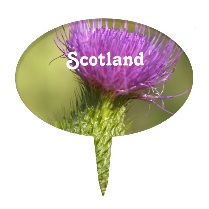 Scotland Thistle Cake Topper