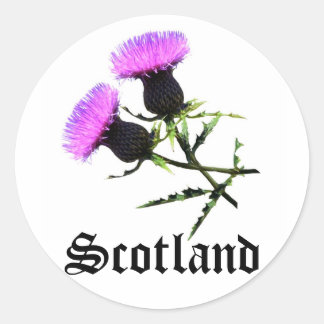 Scotland, thistle classic round sticker