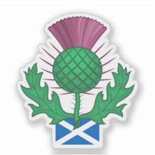 Scotland Thistle Sticker