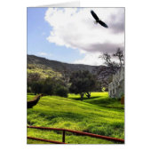 Scotland Yard (Front)