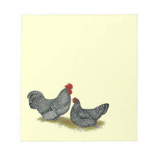 Scots Dumpy Chickens Notepad