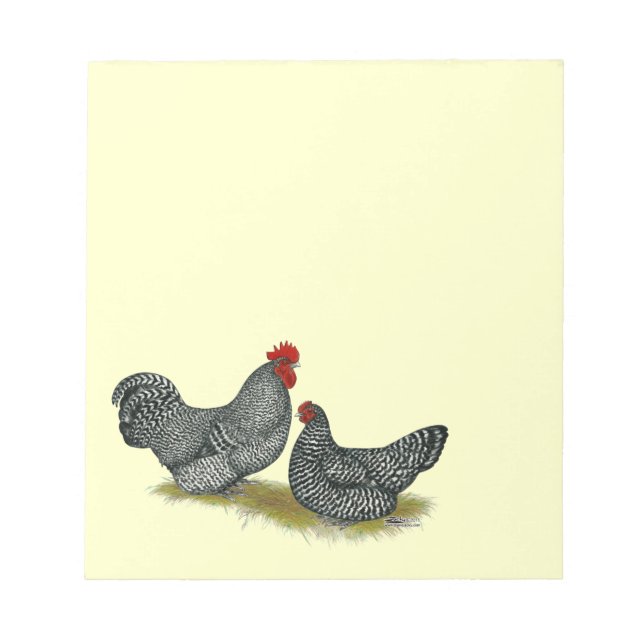 Scots Dumpy Chickens Notepad (Front)