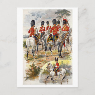 Scots Grays Postcard