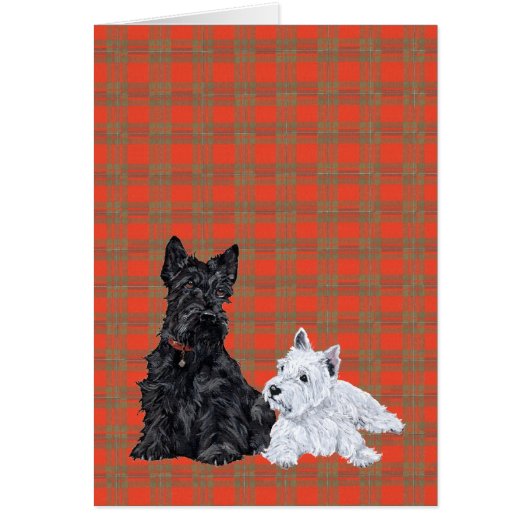 Scottie Adult & Westie Puppy (Front)