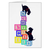 Scottie Blocks (Front)