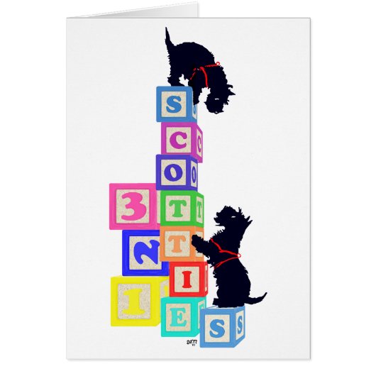 Scottie Blocks Cards (Front)