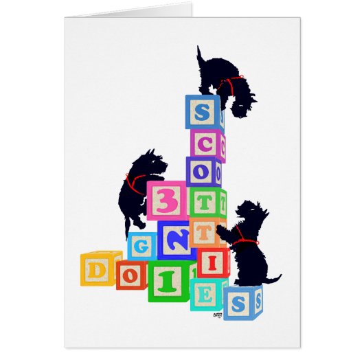 Scottie Blocks Cards (Front)