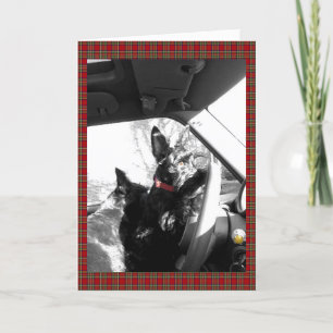 Scottie Card