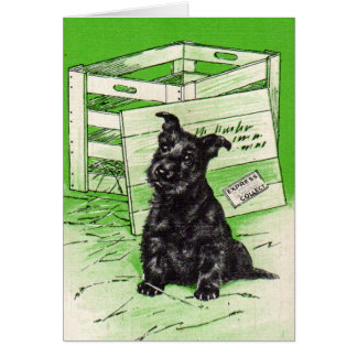 Scottie dog by special delivery cards
