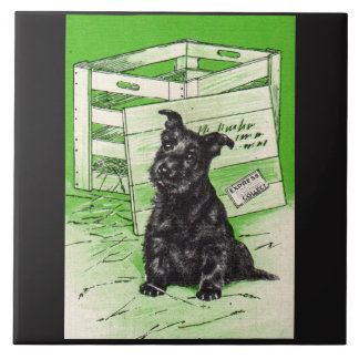 Scottie dog by special delivery ceramic tile