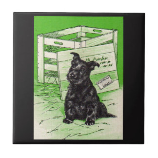 Scottie dog by special delivery ceramic tile