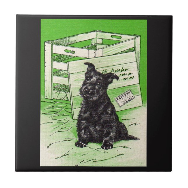 Scottie dog by special delivery ceramic tile (Front)