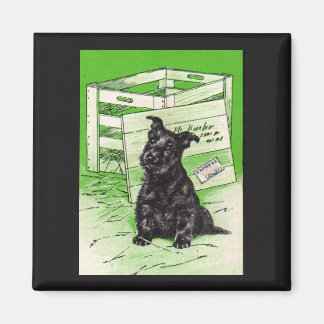Scottie dog by special delivery magnet